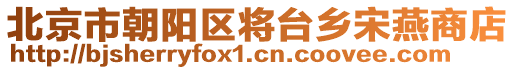 北京市朝陽(yáng)區(qū)將臺(tái)鄉(xiāng)宋燕商店