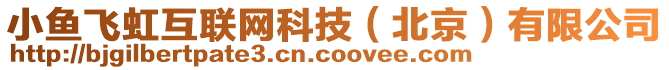 小魚(yú)飛虹互聯(lián)網(wǎng)科技（北京）有限公司