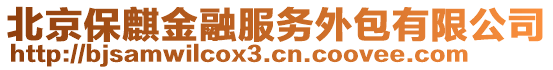 北京保麒金融服務外包有限公司