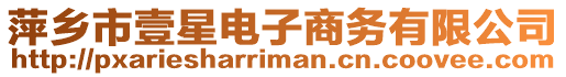 萍鄉市壹星電子商務有限公司