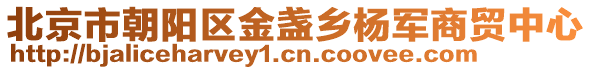 北京市朝陽區(qū)金盞鄉(xiāng)楊軍商貿(mào)中心