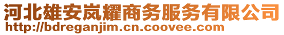 河北雄安嵐耀商務服務有限公司