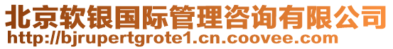 北京軟銀國際管理咨詢有限公司