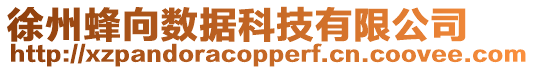 徐州蜂向數據科技有限公司