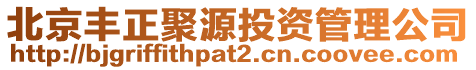 北京豐正聚源投資管理公司