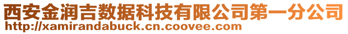 西安金潤吉數(shù)據(jù)科技有限公司第一分公司