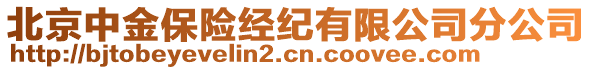 北京中金保險經紀有限公司分公司