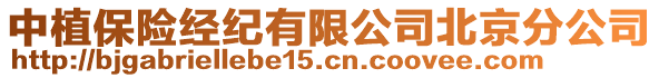 中植保險(xiǎn)經(jīng)紀(jì)有限公司北京分公司
