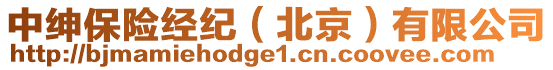 中紳保險(xiǎn)經(jīng)紀(jì)(北京)有限公司