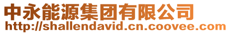 中永能源集團有限公司