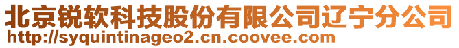 北京銳軟科技股份有限公司遼寧分公司