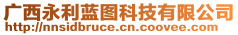 廣西永利藍圖科技有限公司