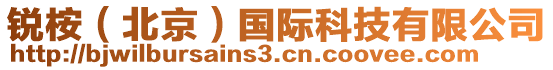 銳桉（北京）國(guó)際科技有限公司