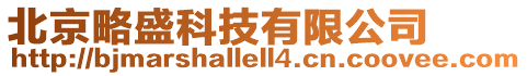北京略盛科技有限公司