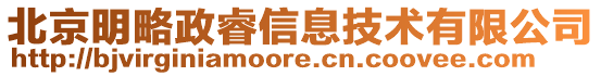 北京明略政睿信息技術有限公司