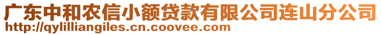 廣東中和農(nóng)信小額貸款有限公司連山分公司