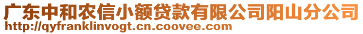 廣東中和農(nóng)信小額貸款有限公司陽(yáng)山分公司