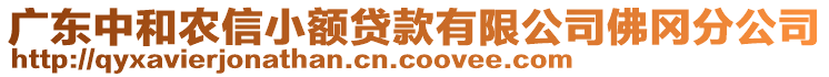 廣東中和農(nóng)信小額貸款有限公司佛岡分公司