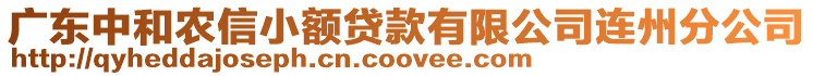 廣東中和農(nóng)信小額貸款有限公司連州分公司