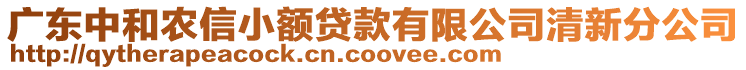 廣東中和農(nóng)信小額貸款有限公司清新分公司