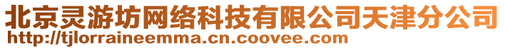 北京靈游坊網(wǎng)絡(luò)科技有限公司天津分公司