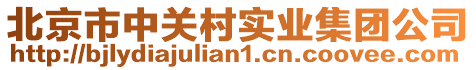 北京市中關(guān)村實業(yè)集團公司