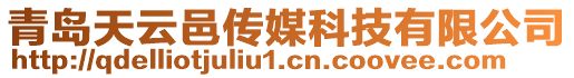 青島天云邑傳媒科技有限公司