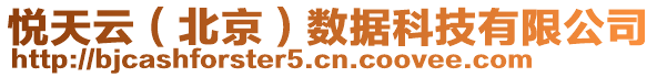 悅天云（北京）數(shù)據(jù)科技有限公司