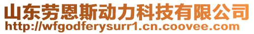 山東勞恩斯動力科技有限公司