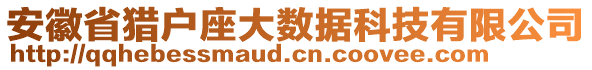 安徽省獵戶座大數(shù)據(jù)科技有限公司