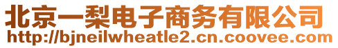 北京一梨電子商務(wù)有限公司