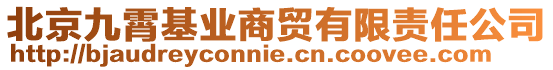 北京九霄基業(yè)商貿有限責任公司