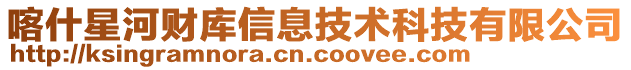 喀什星河財庫信息技術科技有限公司