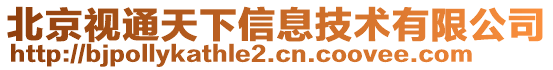 北京視通天下信息技術(shù)有限公司