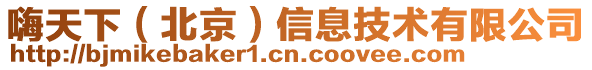 嗨天下(北京)信息技術(shù)有限公司
