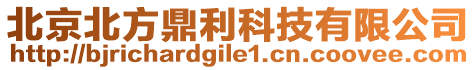 北京北方鼎利科技有限公司