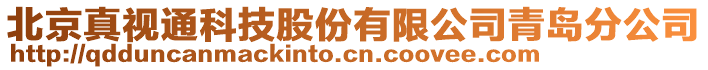 北京真視通科技股份有限公司青島分公司