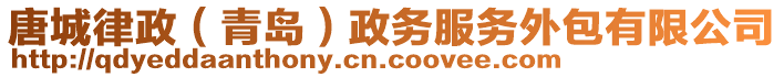 唐城律政（青島）政務服務外包有限公司