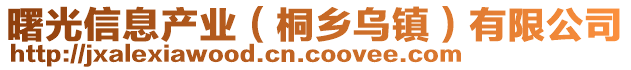 曙光信息產(chǎn)業(yè)(桐鄉(xiāng)烏鎮(zhèn))有限公司