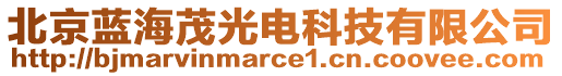 北京藍(lán)海茂光電科技有限公司