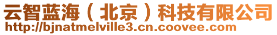 云智藍(lán)海（北京）科技有限公司