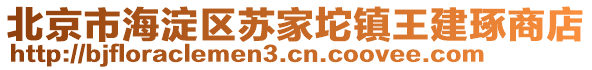 北京市海淀區(qū)蘇家坨鎮(zhèn)王建琢商店