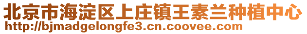 北京市海淀區(qū)上莊鎮(zhèn)王素蘭種植中心