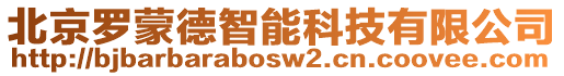 北京羅蒙德智能科技有限公司