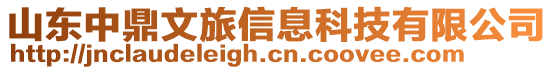 山東中鼎文旅信息科技有限公司