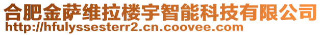 合肥金薩維拉樓宇智能科技有限公司