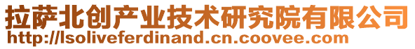 拉薩北創產業技術研究院有限公司