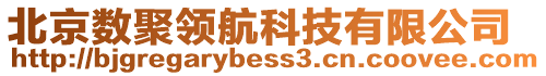 北京數聚領航科技有限公司