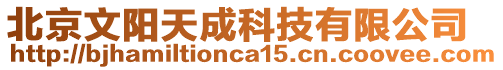 北京文陽(yáng)天成科技有限公司