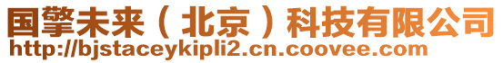 國(guó)擎未來(lái)（北京）科技有限公司